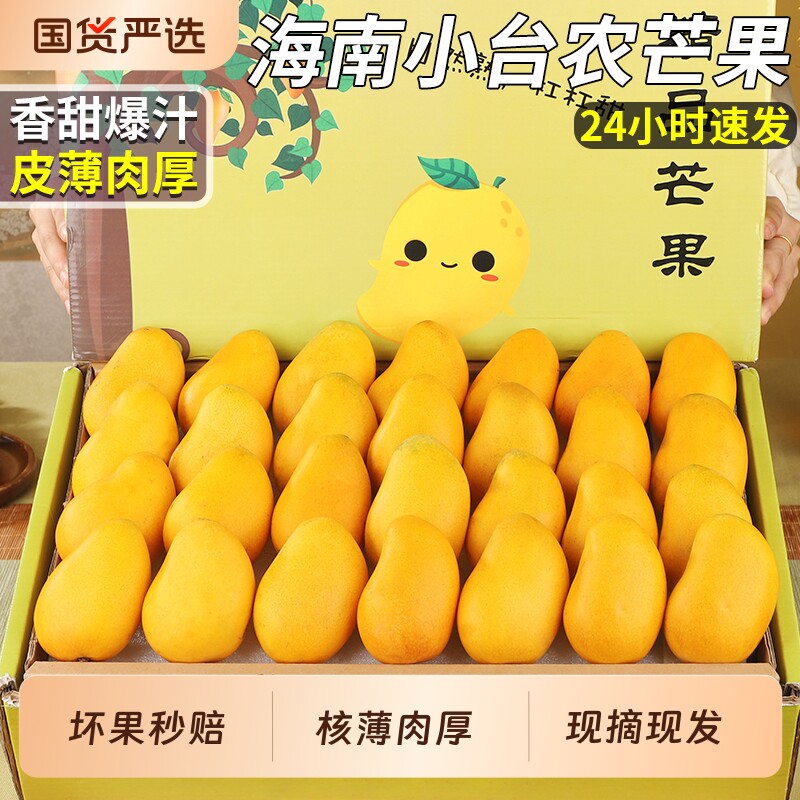 海南正宗小台农芒果新鲜现摘当季热带小台芒水果树上熟精美礼盒