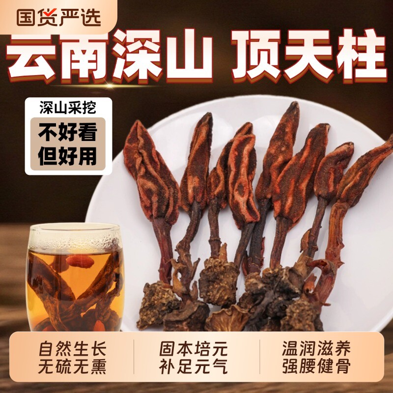 正品回春草野生云南金锁阳顶天柱泡酒不老草生长男性滋补苁蓉马卡