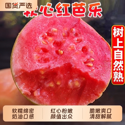 红心芭乐香甜软糯低糖减脂