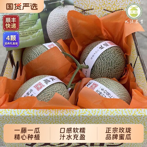 正宗玫珑蜜瓜一藤一瓜软糯多汁