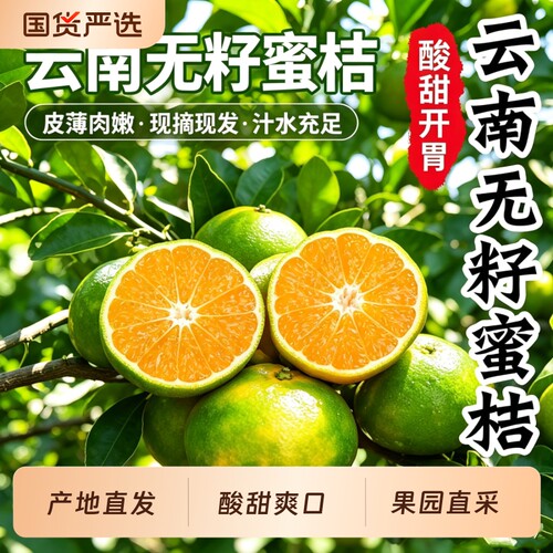 云南蜜桔早熟青皮橘子昆明新鲜桔子应季孕妇水果绿皮现摘无籽国货