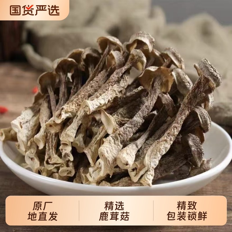 鹿茸菇干货鹿茸菌500g包邮古田脆脆菇新鲜土特产煲汤食材香菇煲汤