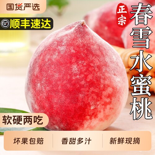 【顺丰次日达】正宗春雪水蜜桃
