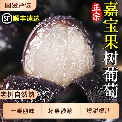 顺丰速达丨嘉宝果树葡萄新鲜水果