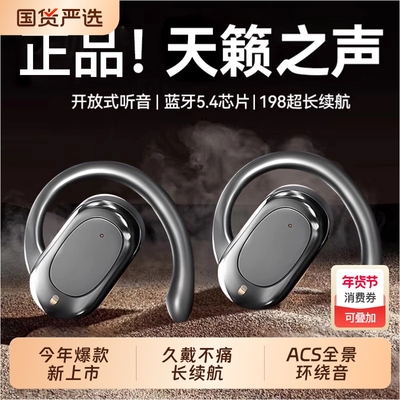 柏林之音蓝牙耳机无线2025新款骨传导无线降噪挂耳式耳机运动跑步