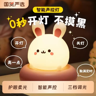 卧室床头睡眠儿童婴儿喂奶护眼台灯拍拍声控语音定时 小夜灯充电款