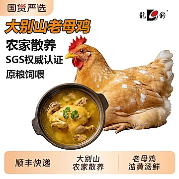 叠金币57元！大别山散养老母鸡1200g*2只