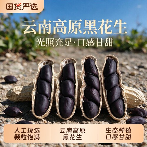 云南特产黑花生带壳晒干原味