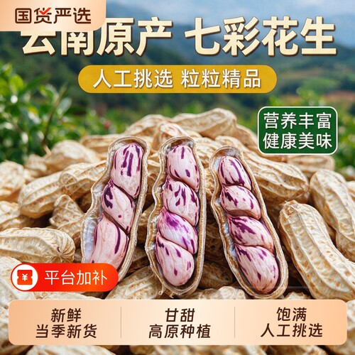 云鲜赞七彩花生湿烤白晒水煮咸干带壳熟新鲜五彩花生生熟坚果零食