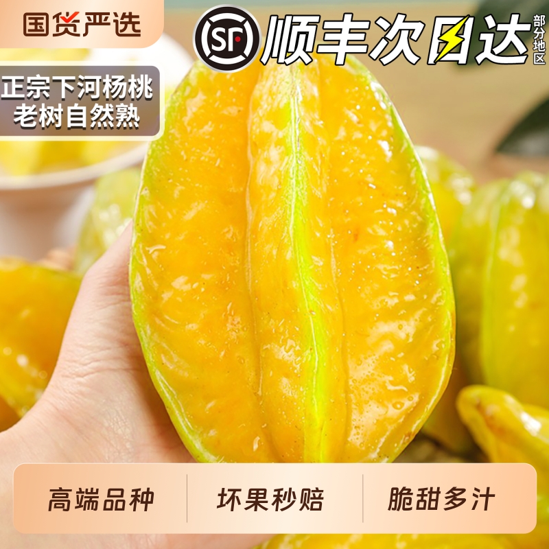 顺丰次日达丨正宗下河杨桃丨鲜果