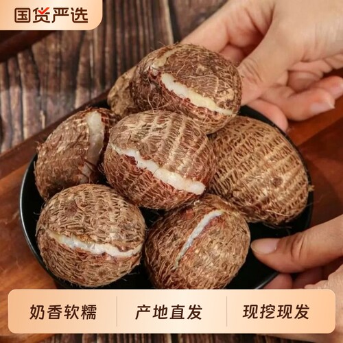 云南芋艿牛奶小芋头不含芋母新鲜蔬菜精品现挖新鲜软糯农家毛芋头