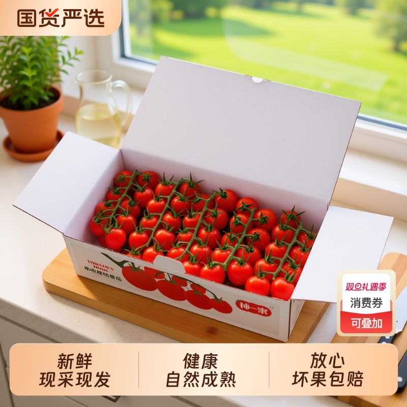 柿一家串收樱桃番茄新鲜水果千禧圣女果小西红柿绿色一颗现摘美味