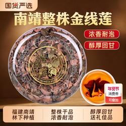 正宗福建南靖金线莲中药材正品林下种植原生态红霞整株干品新鲜