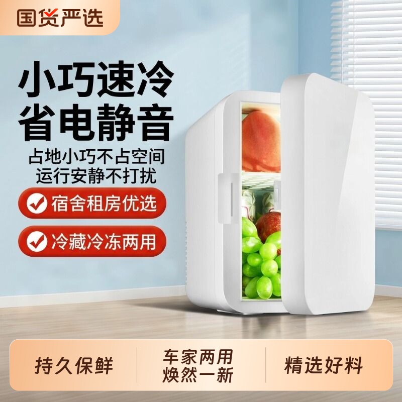 小型车载冰箱宿舍牛奶迷你冰柜车家两用美妆专用面膜化妆品半导体