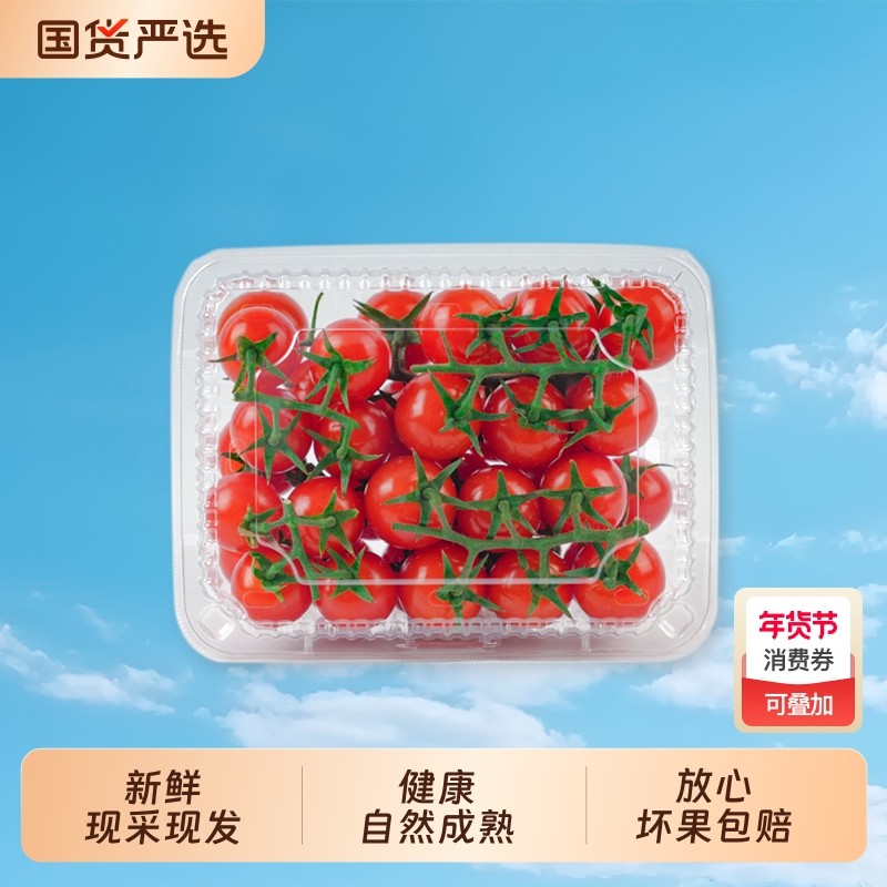 柿一家串收樱桃番茄新鲜水果千禧圣女果小西红柿绿色健康