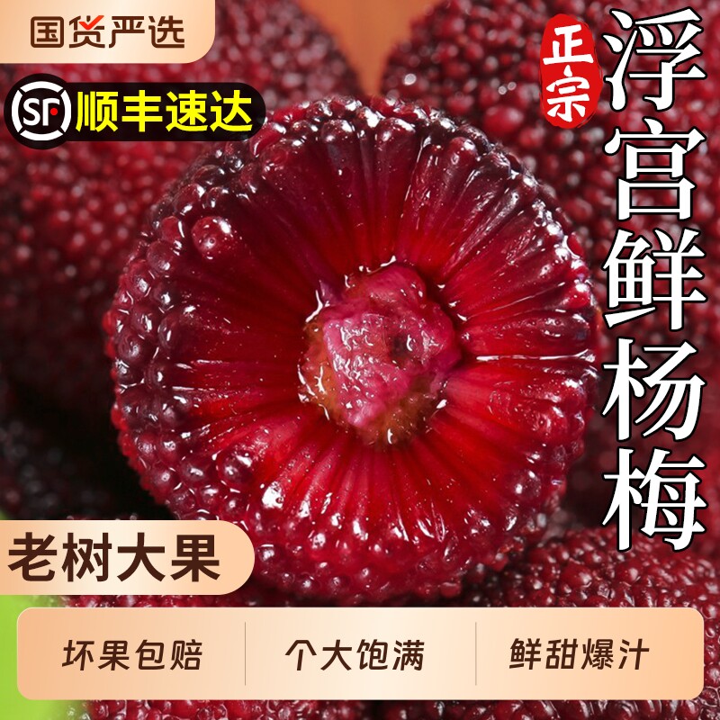 顺丰浮宫大杨梅新鲜水果正宗漳州现摘现发东魁仙甜居当季整箱包邮