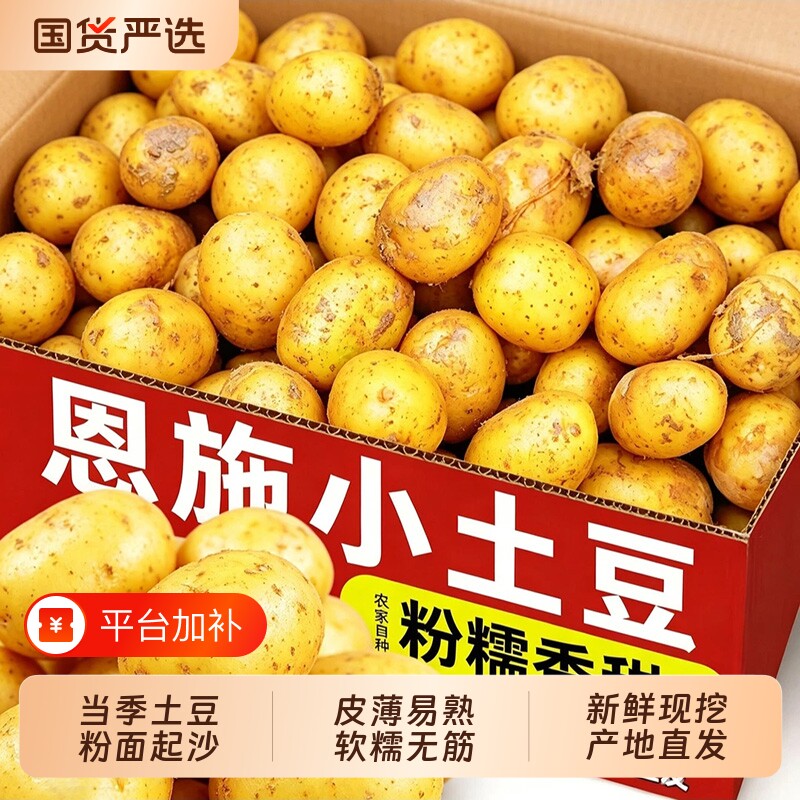 恩施小土豆黄心土豆农家现挖迷你马铃薯洋芋9包邮新鲜高山小土豆
