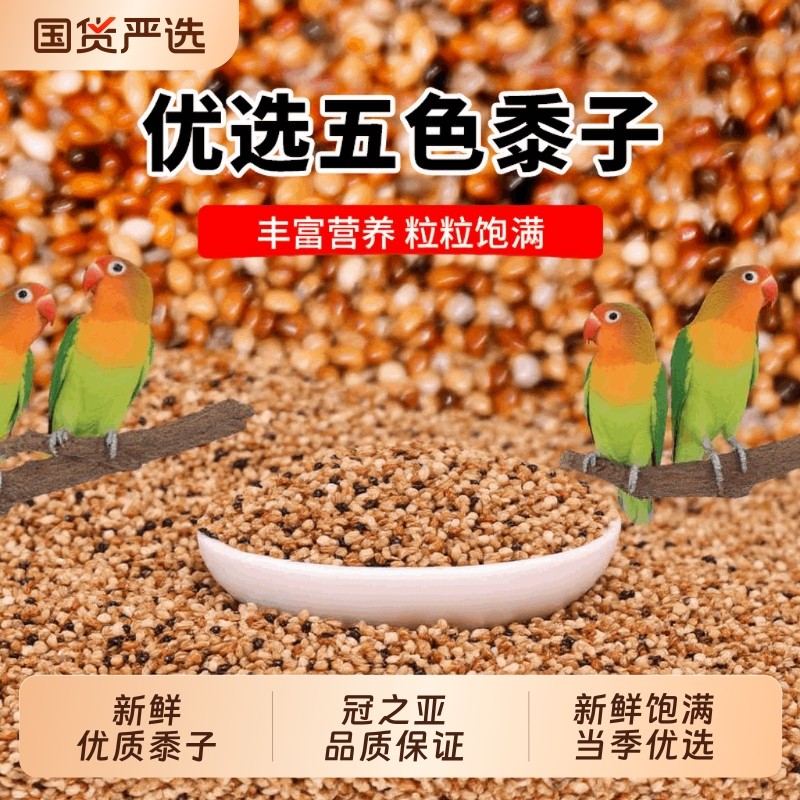 鸟粮虎皮牡丹玄凤中小型鹦鹉鸟食饲料五色黍子鹦鹉混合粮谷子粮食