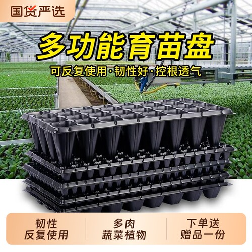 育苗盘穴盘家用蔬菜种子育种扦插