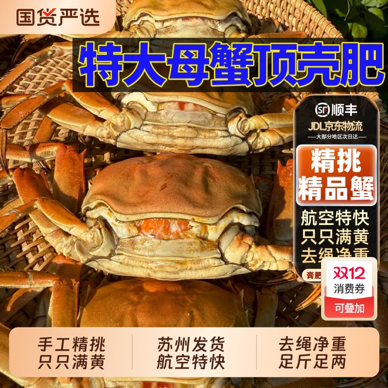 大闸蟹只只满黄满膏阳澄后荡湖精品鲜活螃蟹全母公超特大5两水产