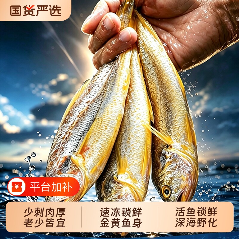 深海野化大黄鱼新鲜冷冻黄花鱼深海海捕生鲜海鲜独立包装海鲜批发