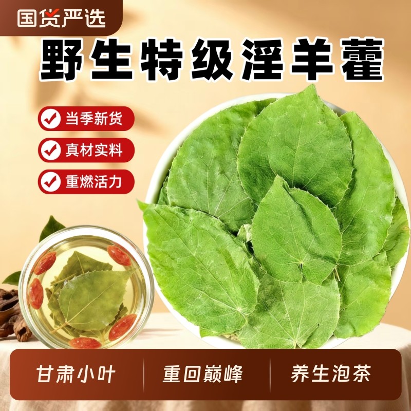 淫羊藿中药材野生甘肃正品小叶淫洋藿新鲜滋补巴戟天锁阳泡酒泡水