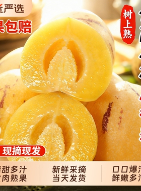 人参果云南石林树上熟新鲜水果黄心圆果10斤七彩人叁果整箱包邮9