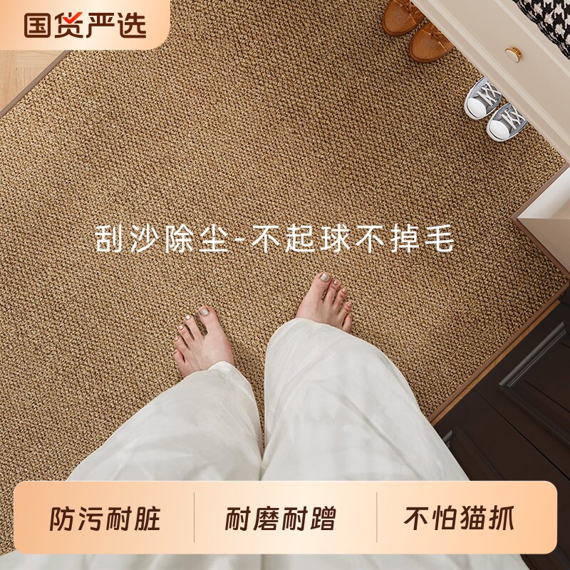 仿剑麻入户门地垫高级可裁剪防滑可机洗地毯新款耐脏门口家用脚垫