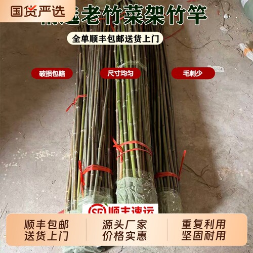 竹竿菜园搭架f豆角黄瓜爬藤架篱笆小竹子细竹杆竹竿子花卉绿植