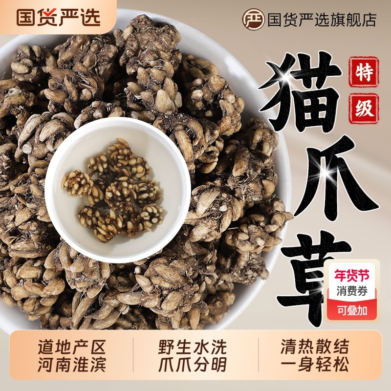 特级猫爪草中药材正品野生猫抓草中草药材猫瓜草猫爪茶毛抓草新鲜