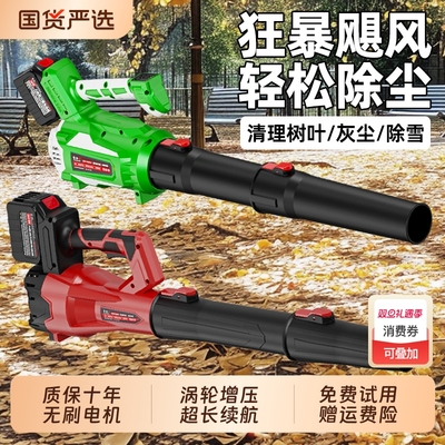 吹风机充电式鼓风机大功率锂电吹雪机工业级吹灰除尘吹落叶暴风机