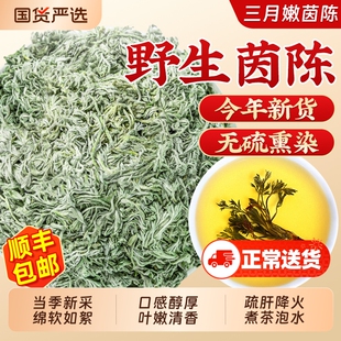 茵陈500g特级野生中药材嫩芽绵茵陈白蒿养生茶五味子泡水喝肝新鲜