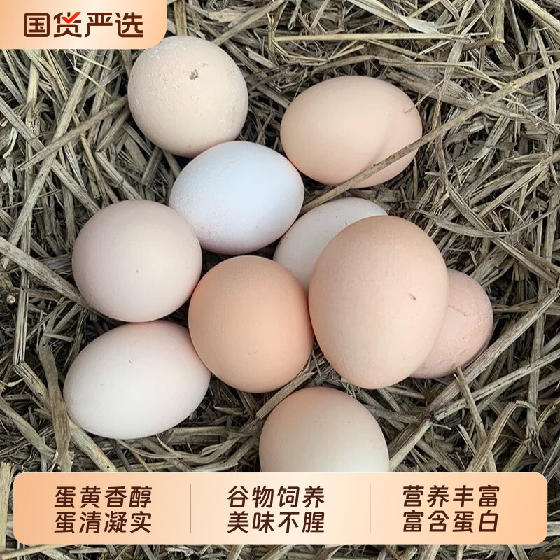 新鲜农家土鸡蛋初生蛋