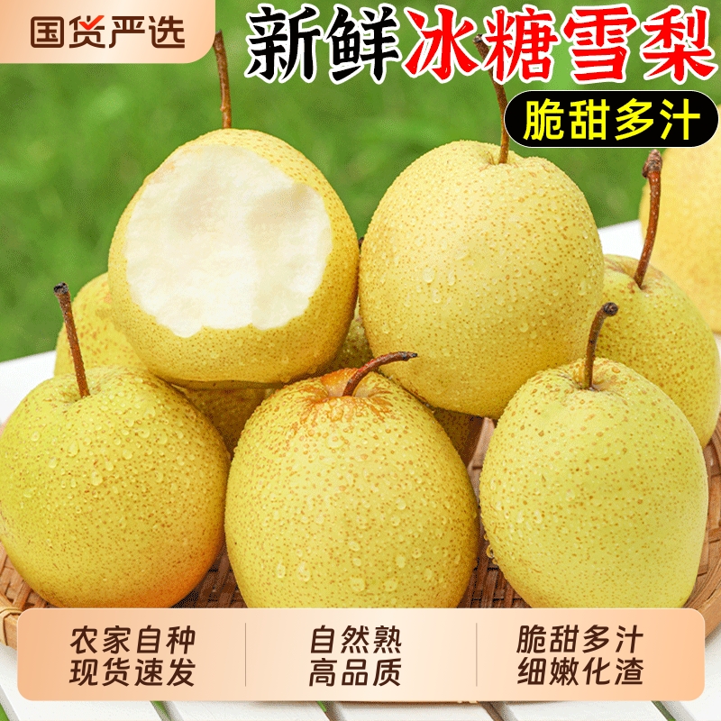 新鲜冰糖雪梨,产地直采,酥脆多汁