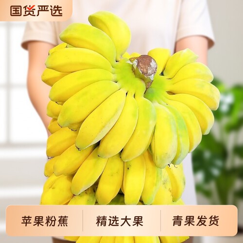 [超值]正宗苹果粉蕉新鲜应季水果孕妇宝宝辅食香蕉自然熟整箱包邮