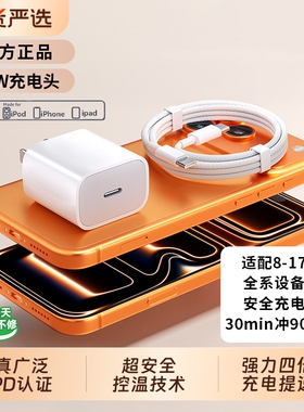 苹果17充电器头【45W新闪充】适用iPhone16promax冰速充15pro数据线30w原14pro装13PD快充头tc正品ipad认证