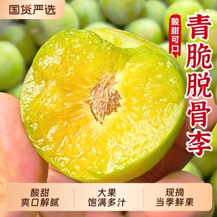 重庆巫山脆李脱骨李子5斤新鲜水果当季空心蜂糖青脆李子整箱包邮3