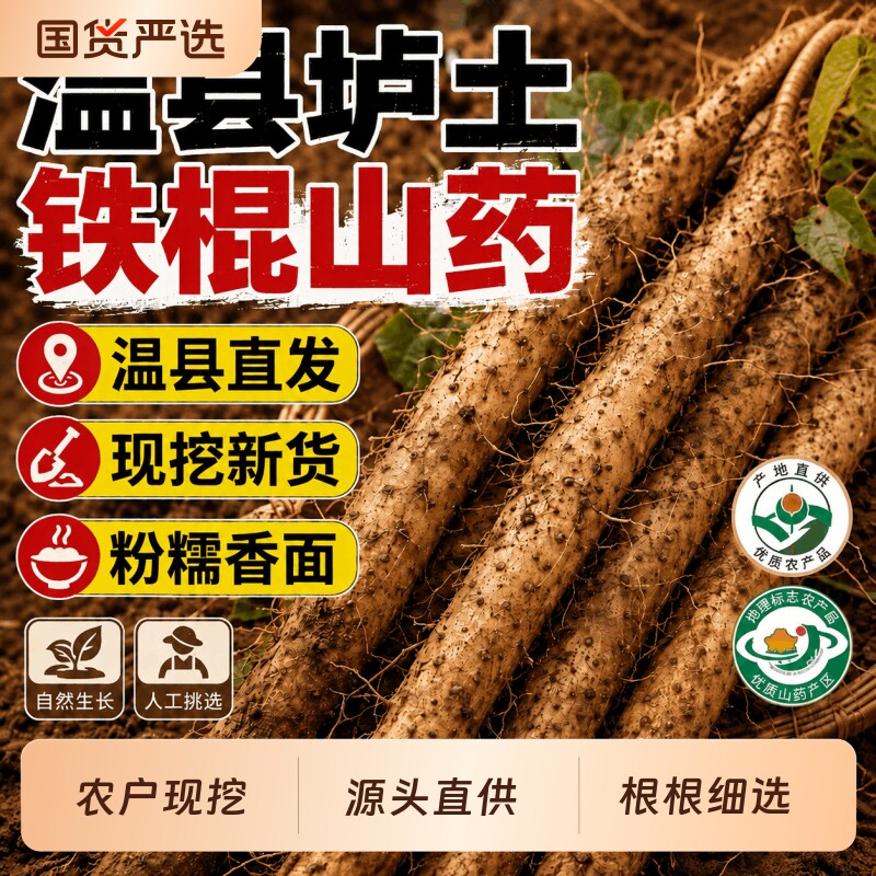 河南焦作正宗温县垆土铁棍山药中药材铁杆新鲜怀淮山药顺丰包邮