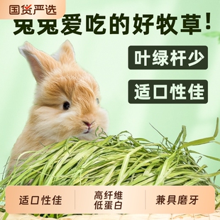 25年提摩西草烘干晒干草段兔子饲料龙猫幼兔荷兰猪粮食用牧草