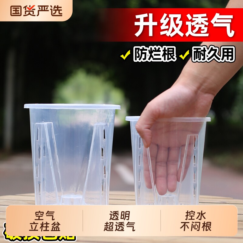 透明控根蝴蝶兰花盆兰花水苔透气蝴蝶兰桌面阳台塑料树脂花盆