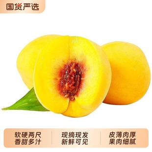 新鲜水果黄金蜜桃带箱4.5斤