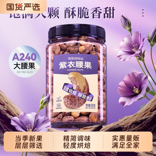 坚果进化论A240紫衣腰果500g罐装