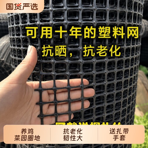 塑料围网养殖防护拦鸡鸭胶网家用