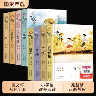 草房子正版曹文轩青铜葵花纯美小说系列当当网更大的鱼第十一根红布条水蒲河灰蛙寂静的四年级下册小学生课外阅读版本完整版原著