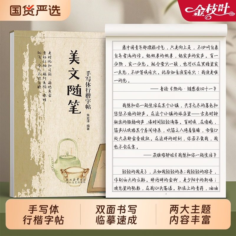 行楷字帖成人练字手写体行书套装