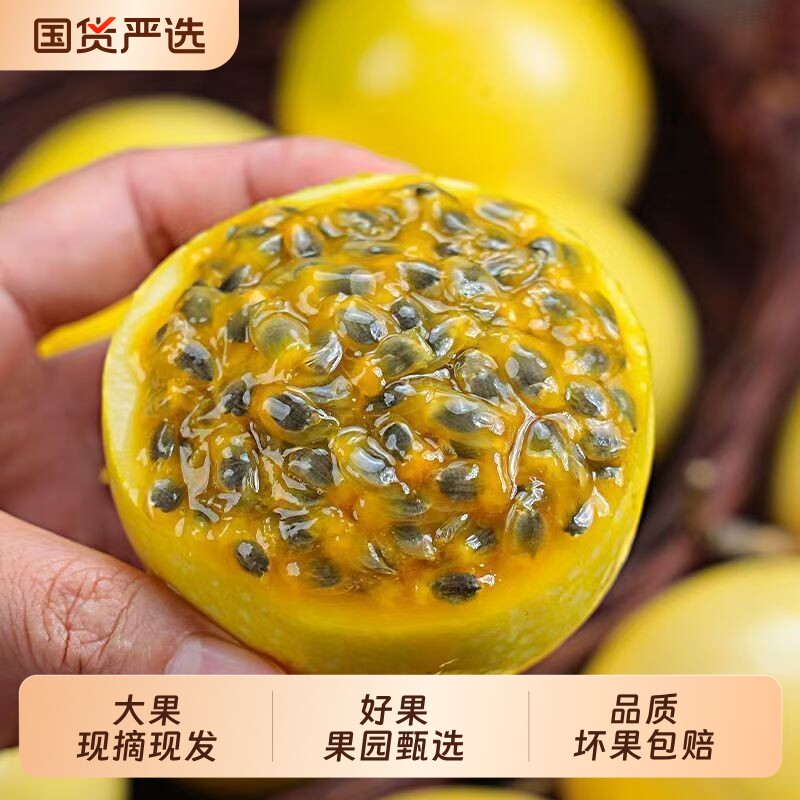 广西钦蜜9号黄金百香果新鲜水果当季整箱百香果包邮大果原果浆5斤