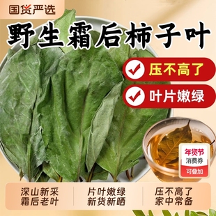 新货柿子叶茶中药材正品霜后干柿子叶降血泡水喝压茶官方旗舰店