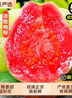 芭乐红心新鲜水果5斤当季软甜奶油胭脂红芭乐番石榴树熟大果包邮