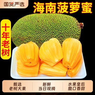 海南三亚黄肉菠萝蜜新鲜水果当季脆甜木波罗蜜一整个热带大果