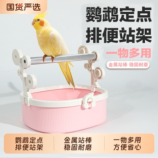 鹦鹉定点排便站架站杆站棒桌面落地鸟站台玄凤专用品训练室内互动